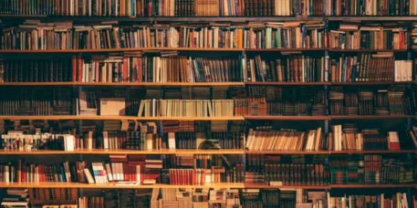 Mengenal Jurusan Ilmu Perpustakaan Yang Harus Ketahui
